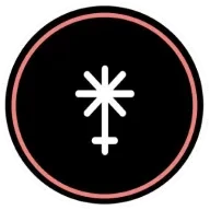 USDT钱包手机版本